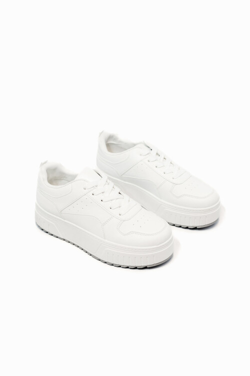 Champion Massa Blanco