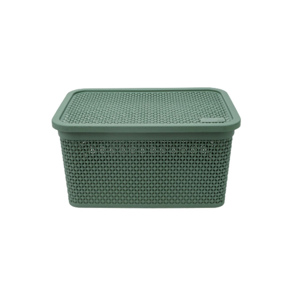 CAJA ORGANIZADORA SIMIL RATTAN 7,5 LITROS VERDE - VERDE 