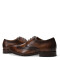 Zapatos de Hombre Democrata METROPOLITAN acordonado Tan