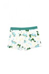 Boxer Teo Verde