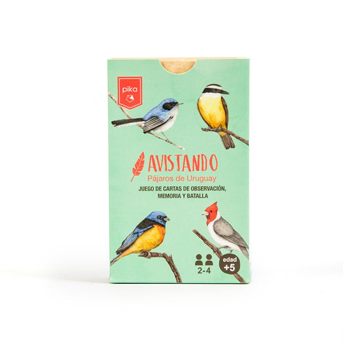 AVISTANDO PAJAROS DE URUGUAY 