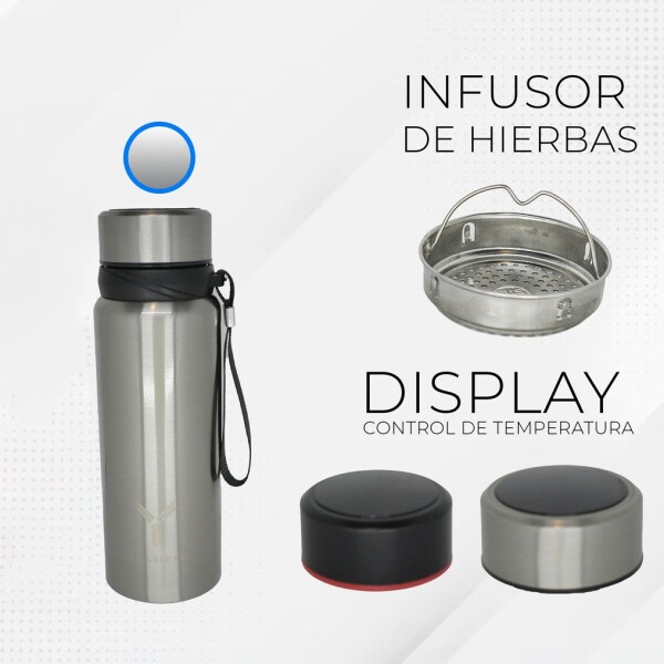 Termo Botella Termica Dellorean 600 ml Acero Inox Display Ax Variante Color Gris