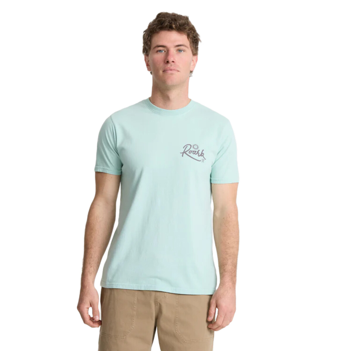 Remera Roark Palm Gorge - Celeste 