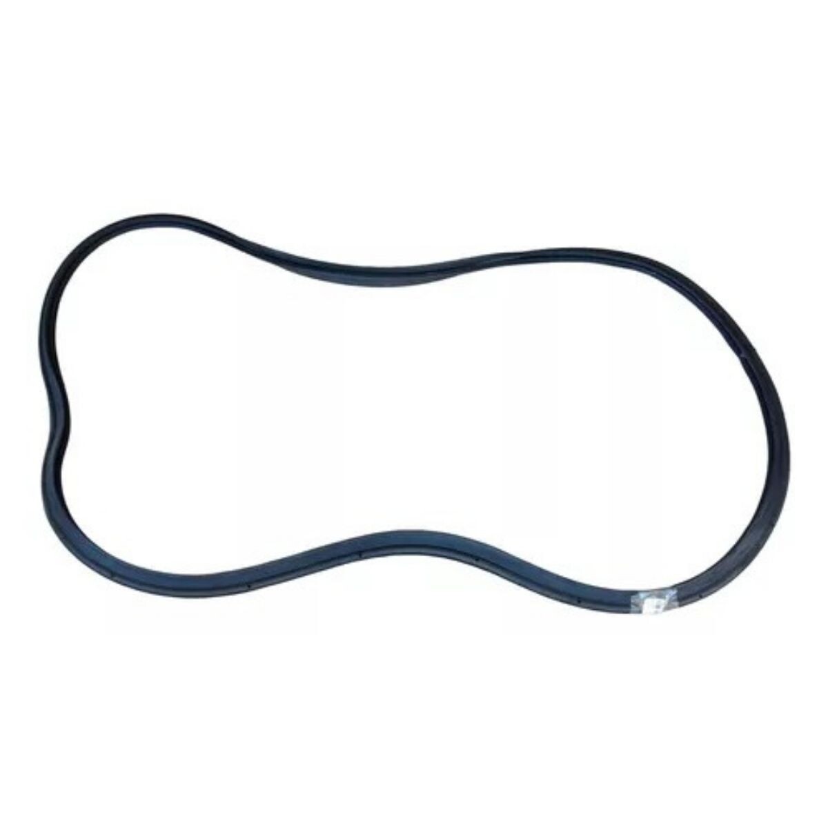 GOMA TAPA VALIJA POLO 15 