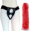 Combo para Parejas Arnés + Dildo de Silicona Champ