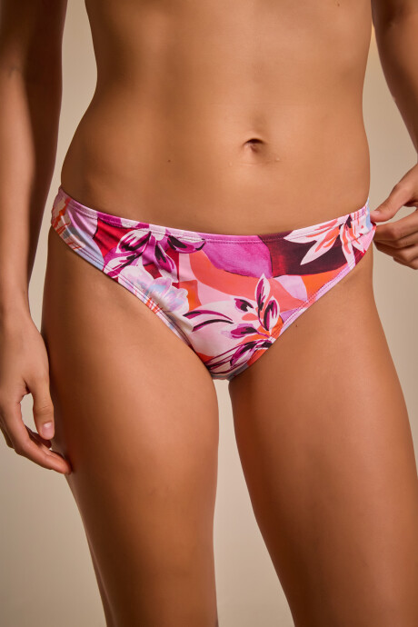 Vedetina Bromelia Er Estampado 44