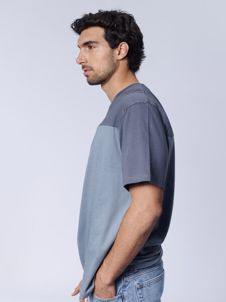Remera bloque Gris