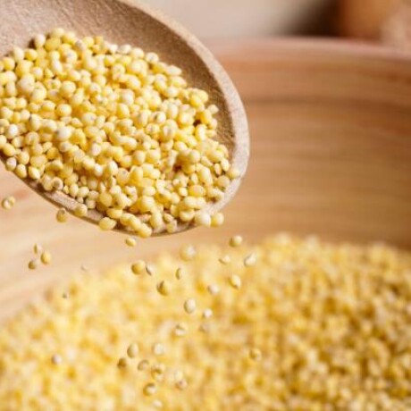 NAT-MIJO X KILO NAT-MIJO X KILO