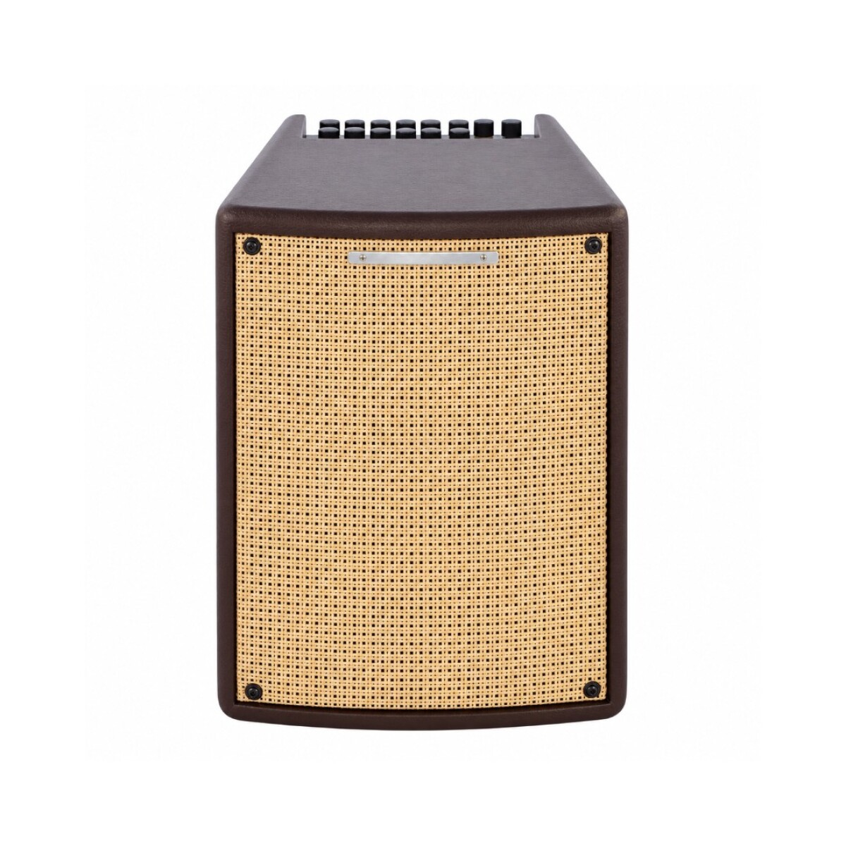Amplificador Acustica Ibanez T80iiu Troubadour 8" 80w 