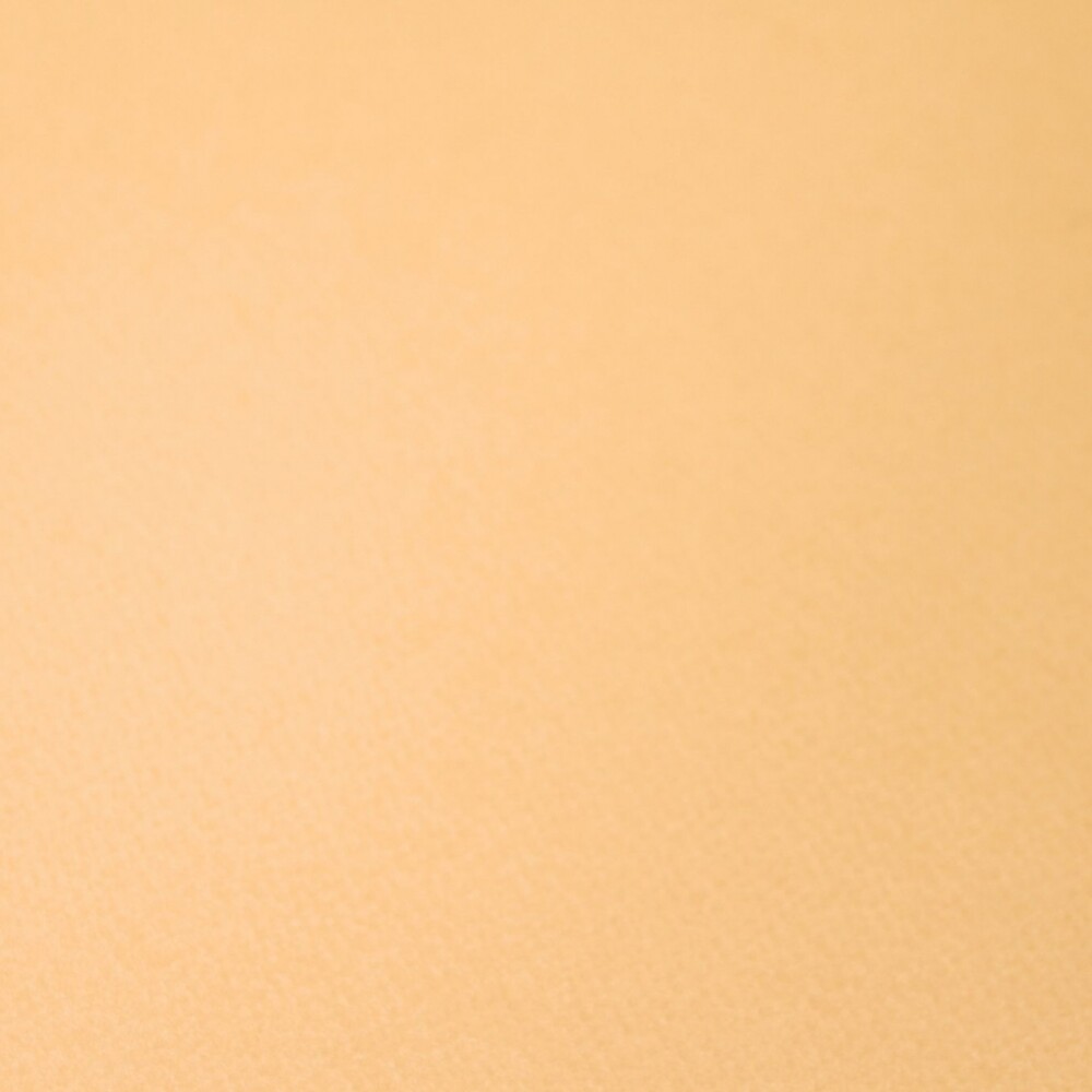 CARTULINA PRISMA 50X70 DE 220 GRAMOS COLOR SALMON