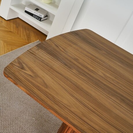 MESA DE COMEDOR CHANDLER marron - CUADRADO/A