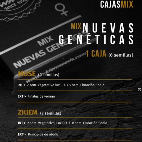 FEM MIX NEW - X6 UNIDADES FEM MIX NEW - X6 UNIDADES