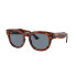 Rayban 0298s Havana