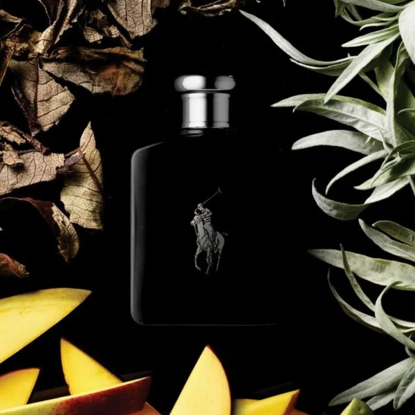 Polo Black EDT 125ml Polo Black EDT 125ml
