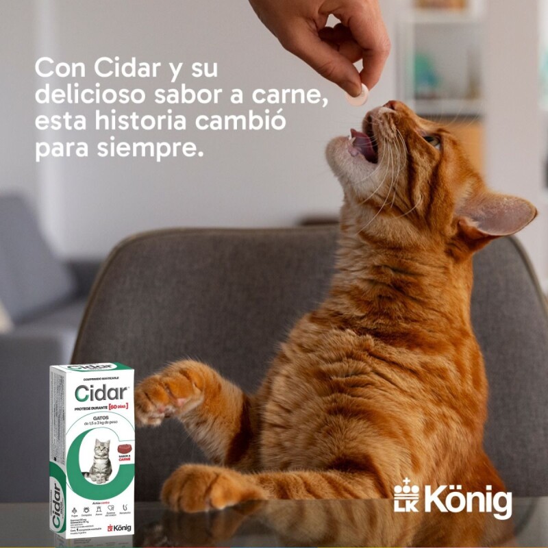 CIDAR GATOS PASTILLA ANTIPULGAS Y ANTIGARRAPATAS KONIG 1,5 A 3 KG