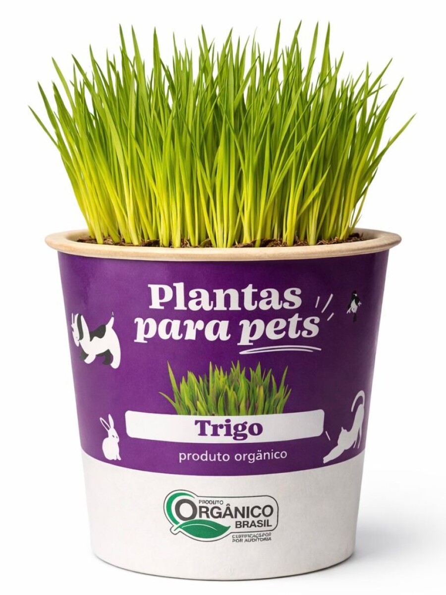 ALIMENTO PARA MASCOTAS ALIMENTO PARA MASCOTAS