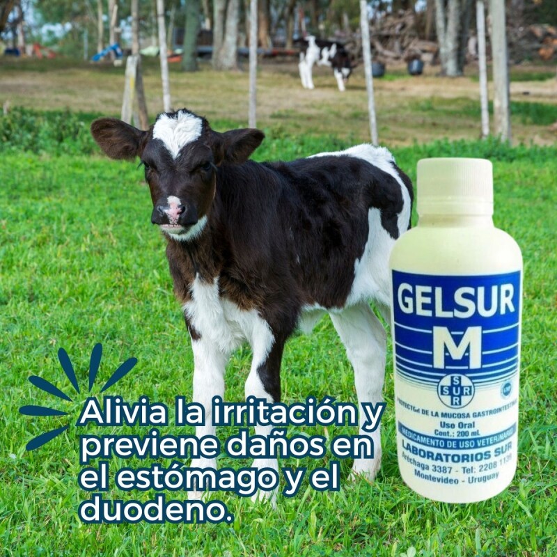 GELSUR M 200 ML GELSUR M 200 ML