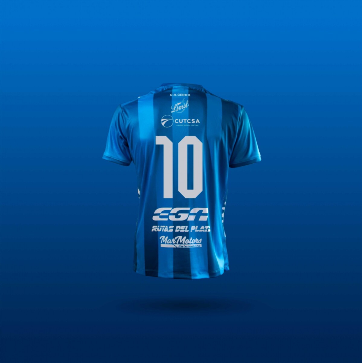 PRE-VENTA Camiseta ALT Cerro 2026 NIÑO 