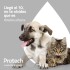 PROTECH PIPETA ANTIPULGAS Y GARRAPATAS CON ACCIÓN AMBIENTAL PARA PERROS DE 5 A 10 KG
