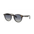 Ray-Ban Black on Gold Black Degrade