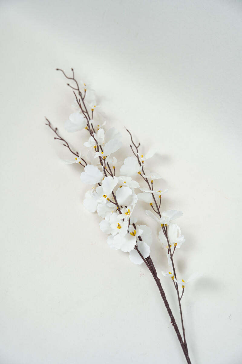 Flor Orquídea De Baile, Ramo - Color Unico 