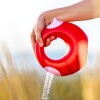 Regadera circular Grande 1L Cherry