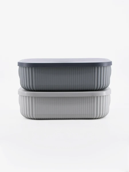 CAJA ORGANIZADORA CON TAPA GRIS