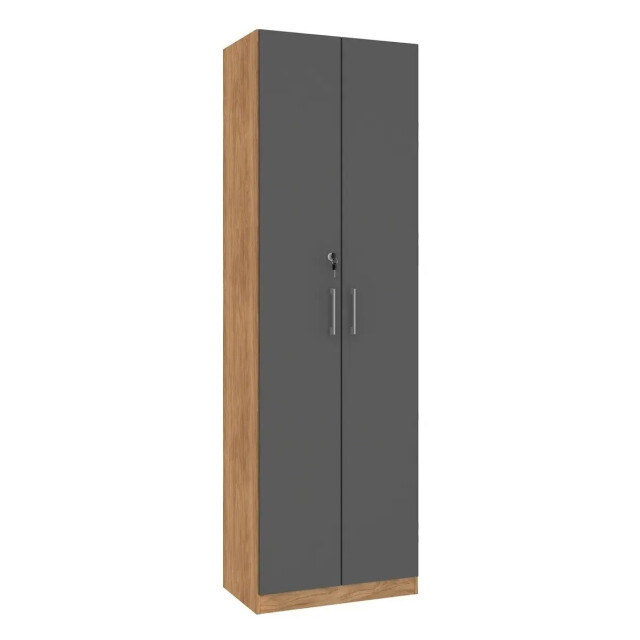 ROPERO 2 PUERTAS GUARDARROPA ARMARIO PLACARD CLOSET MULTIUSO CON LLAVE COLOR MADERA GRIS