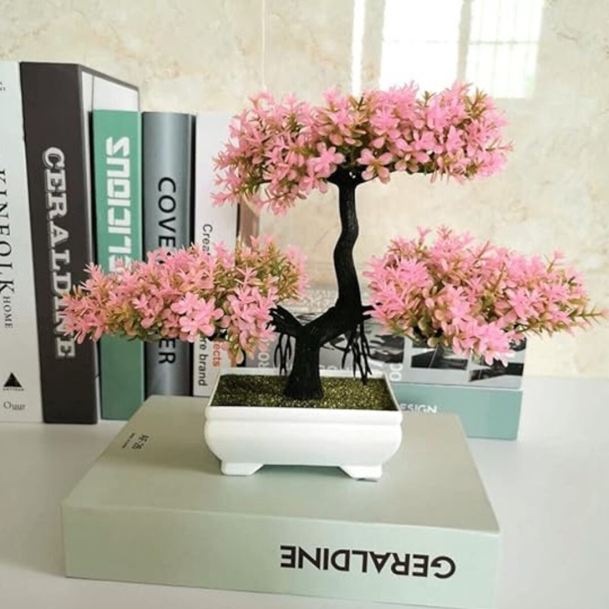 Maceta para bonsai - Zz 