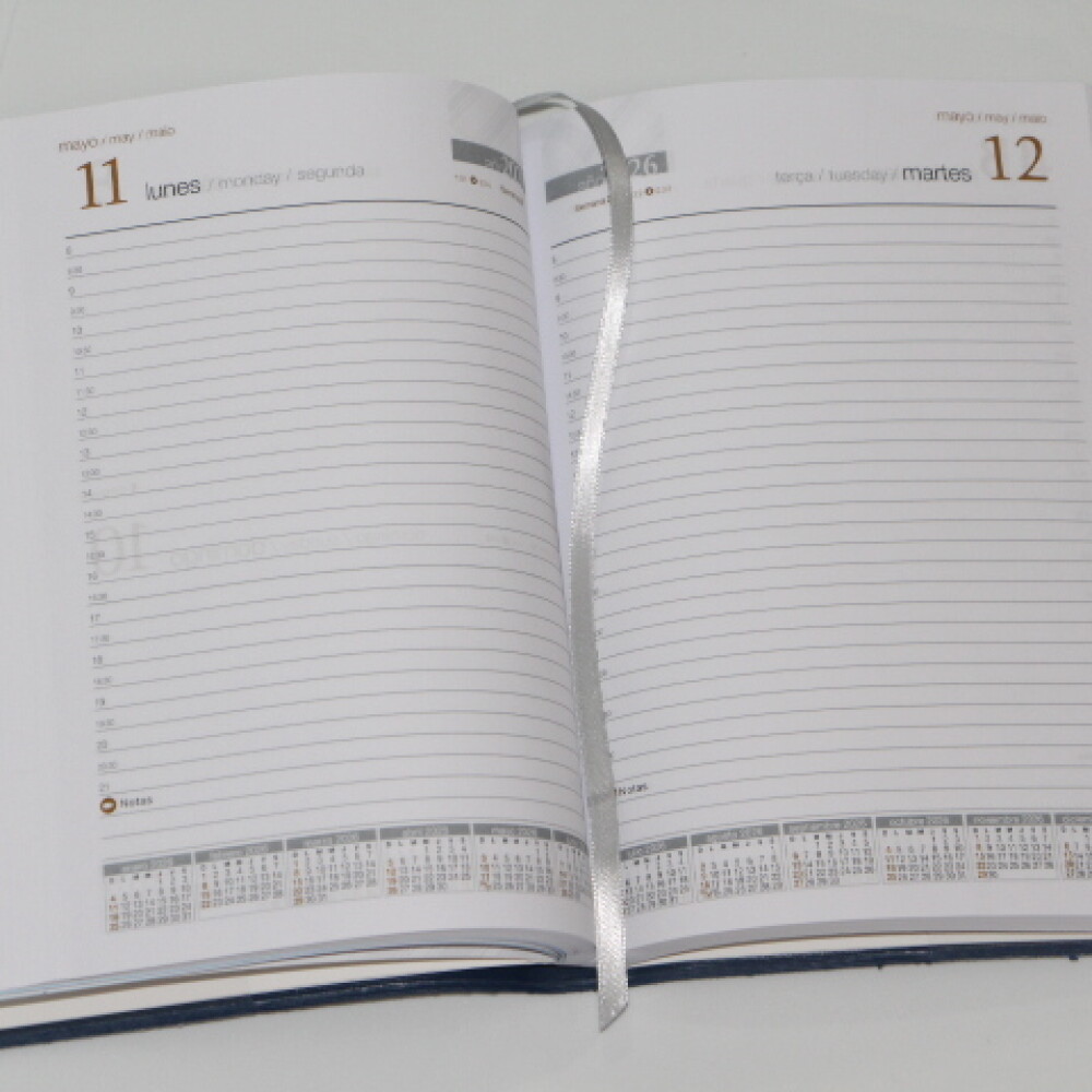 AGENDA REMEMBER MILLENIUM 1911 COLOR BORDEAUX