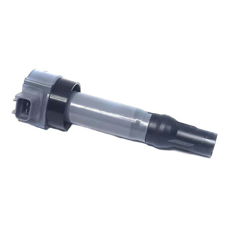 BOBINA ENCENDIDO - ZOTYE Z200 1.5 4A91 BRILL.V5 GONOW 2 PIN MW250963 - BOBINA ENCENDIDO - ZOTYE Z200 1.5 4A91 BRILL.V5 GONOW 2 PIN MW250963 -