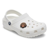 Jibbitz™ Charm Bronny Dog Multicolor