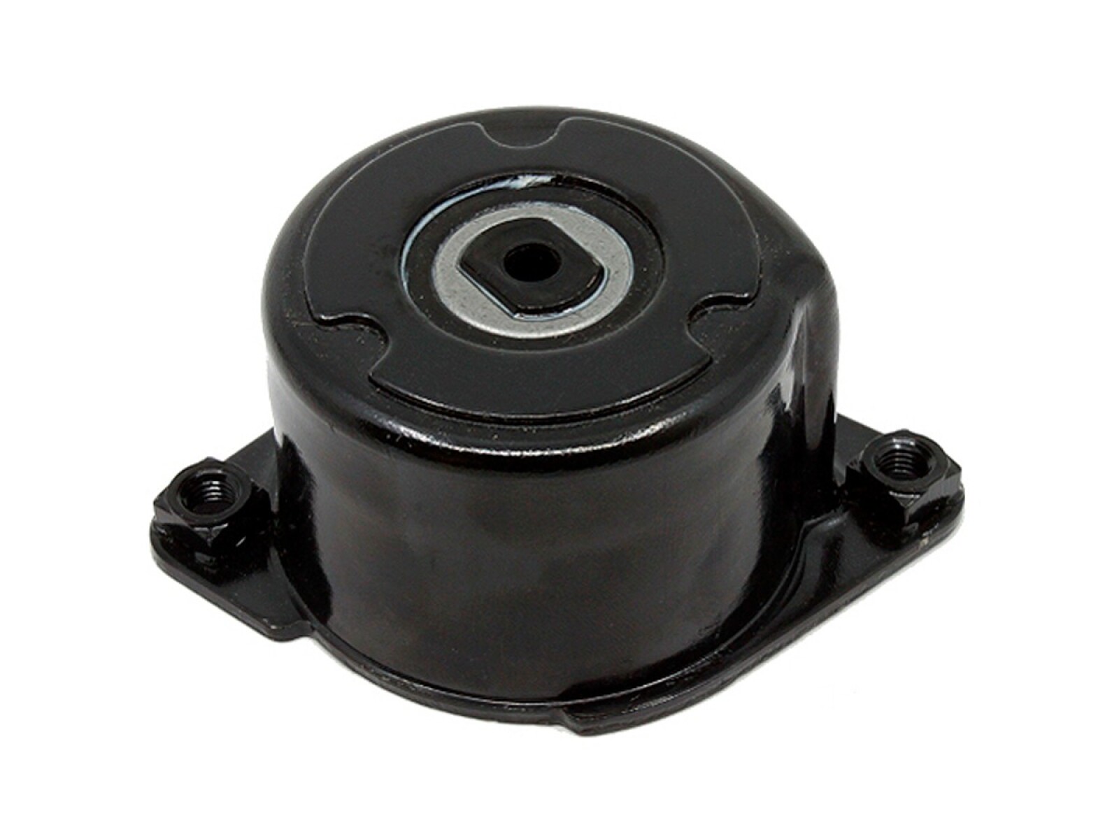 Tensor De La Correa BMW 330Xd (E46)/X3 Diesel (E83)/530D (E60)/330D (E90) 03-11 