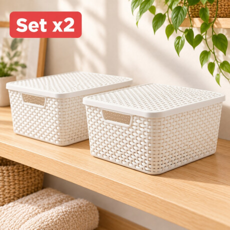 Set x2 Caja ratán 20 lts BLANCO