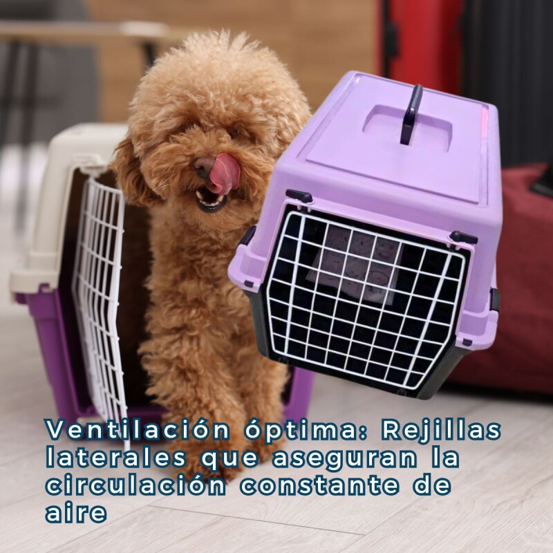TRANSPORTADORA ATLAS 10 LILA