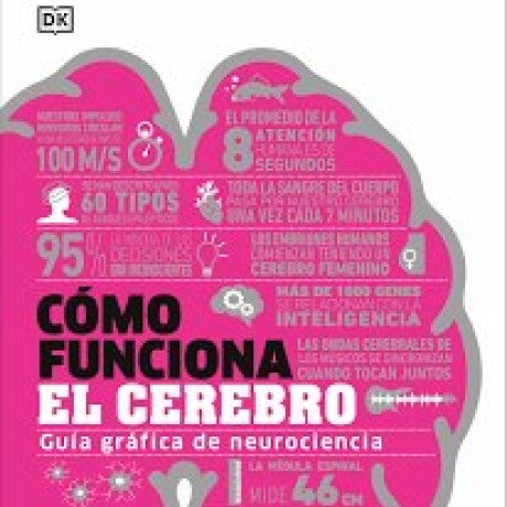 COMO FUNCIONA EL CEREBRO COMO FUNCIONA EL CEREBRO
