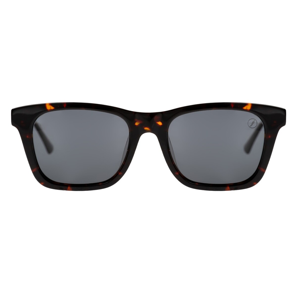 Lentes de sol polarizadas Chilli Beans Bossa Nova AC Marrón 