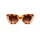 Lentes Tiwi Matisse Rubber Havana/soft Coconut With Brown Gradient Lenses