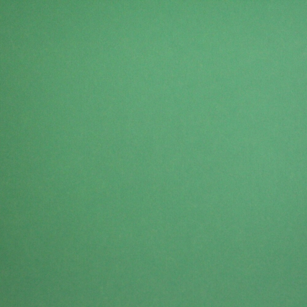 CARTULINA ESPAÑOLA COLOR 50X65 CM COLOR BUENOS AIRES