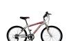 Bicicleta ALPINA MAN - Rodado 24 - Baccio Gris