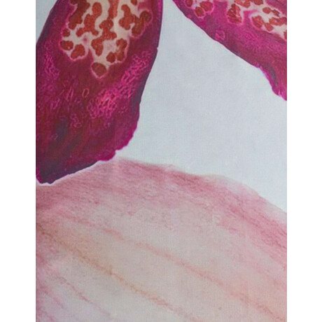 Pañuelo De Material Reciclado Estampado Flores