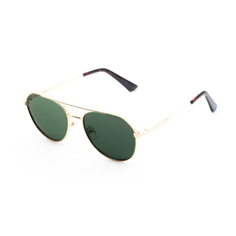 Lentes de Sol Bloom Polarizado PZ5036 Unisex Verde