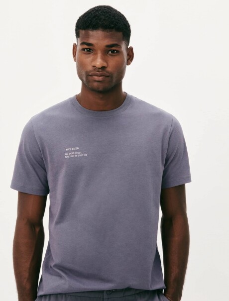 CAMISETA CON ESTAMPA MODELO REGULAR GRIS