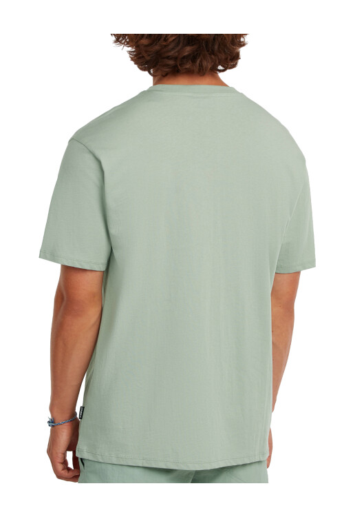 Remera O'Neill Minimalist Verde
