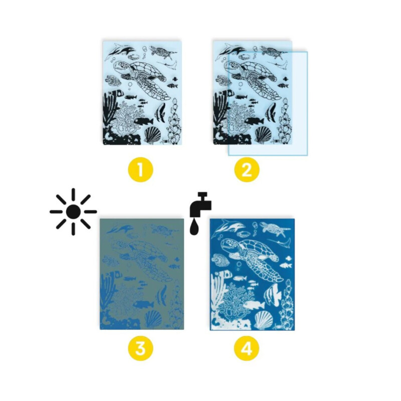 Kit Creativo Cyanotype Ultramarine Djeco Kit Creativo Cyanotype Ultramarine Djeco