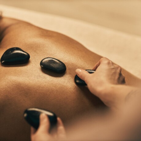 Conexión Sensorial Conexión Sensorial