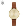 Reloj Skagen Fashion Cuero Marron 0