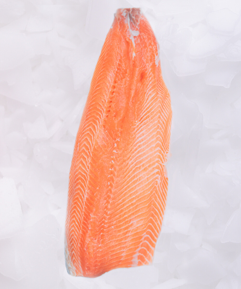 Filete de Salmón Chileno Fresco 500g 