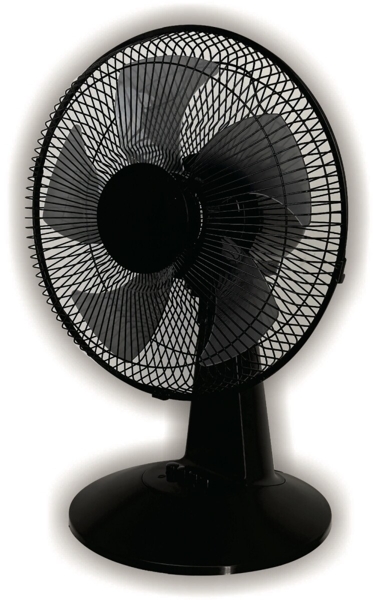 Ventilador De Mesa 5 Aspas 3 Velocidades 12 Silencioso 
