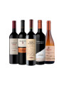 Pack Bacán Selección Pasión Charrúa x5 vinos Pack Bacán Selección Pasión Charrúa x5 vinos